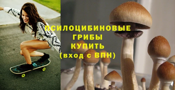 ПСИЛОЦИБИНОВЫЕ ГРИБЫ Алзамай