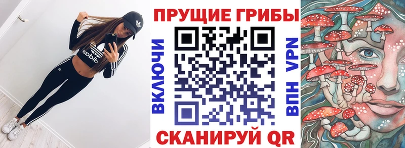 как найти это клад Галлюциногенные грибы MAGIC MUSHROOMS Карачаевск