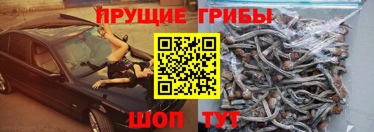 Псилоцибиновые грибы Magic Shrooms Карачаевск