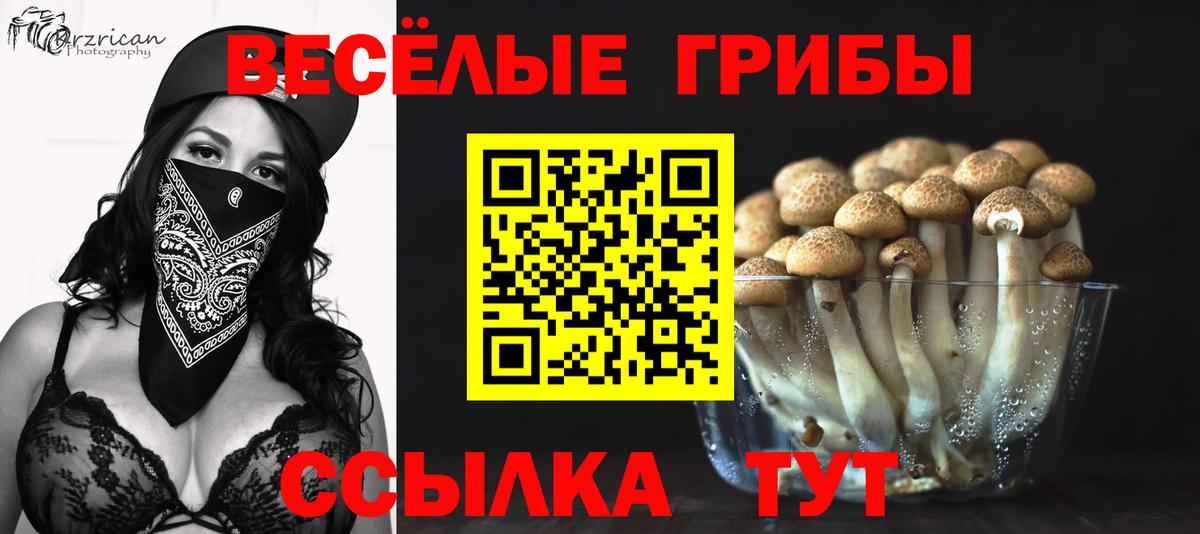 ГАШИШ Карачаевск