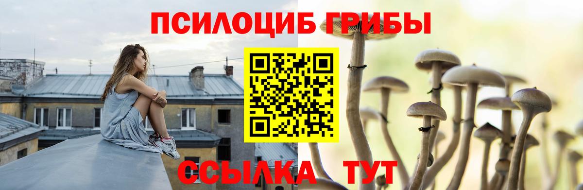 Галлюциногенные грибы Psilocybine cubensis  Галлюциногенные грибы мухоморы  Карачаевск  наркошоп  Вход с VPN 